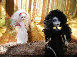 monster high custom blood fairy and shadow elf by Rach-Hells-Dollhaus