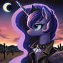 Desert Night