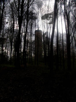 Rehberg Watch Tower