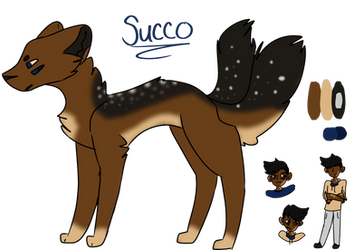 Succo ref 2019