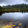 Lakes Lovrenska jezera