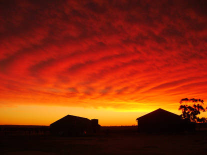 farm sunset :)