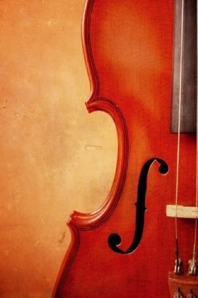 Violin