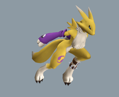 Renamon Run Loop