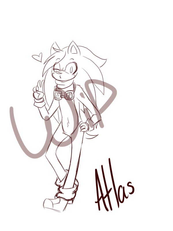 Atlas the hedgehog