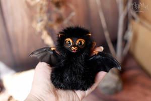 black little bat Akami