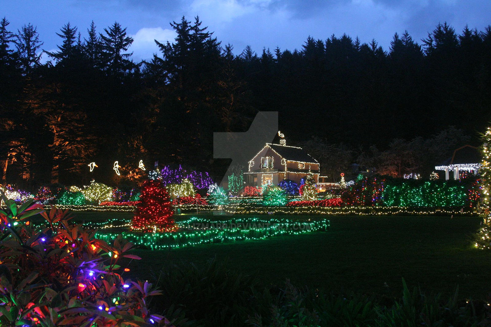 Shore Acres Lights