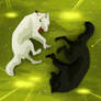 Yin Yang