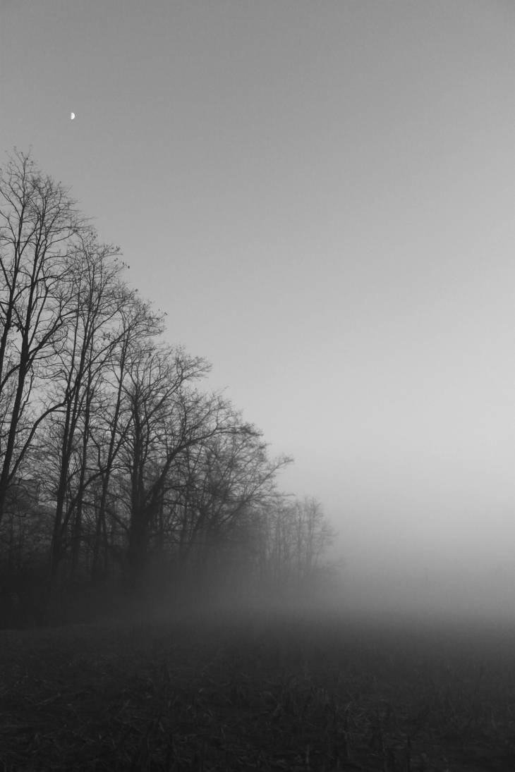 grey fog by Paciocco on DeviantArt