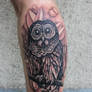 Barred owl tattoo