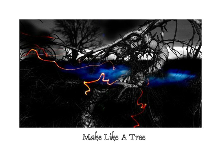 Make Like A Tree