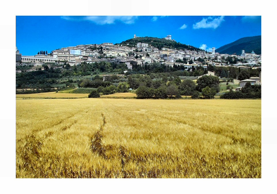 Assisi