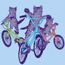 BMX Kittens