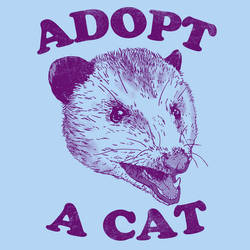 Adopt A Cat