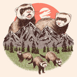 Mountain Ferrets