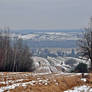 Fields In Winter