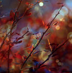 autumn painting by SvitakovaEva