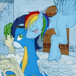 [TUMBLR] MLPFIM - Soarin and Rainbow Dash