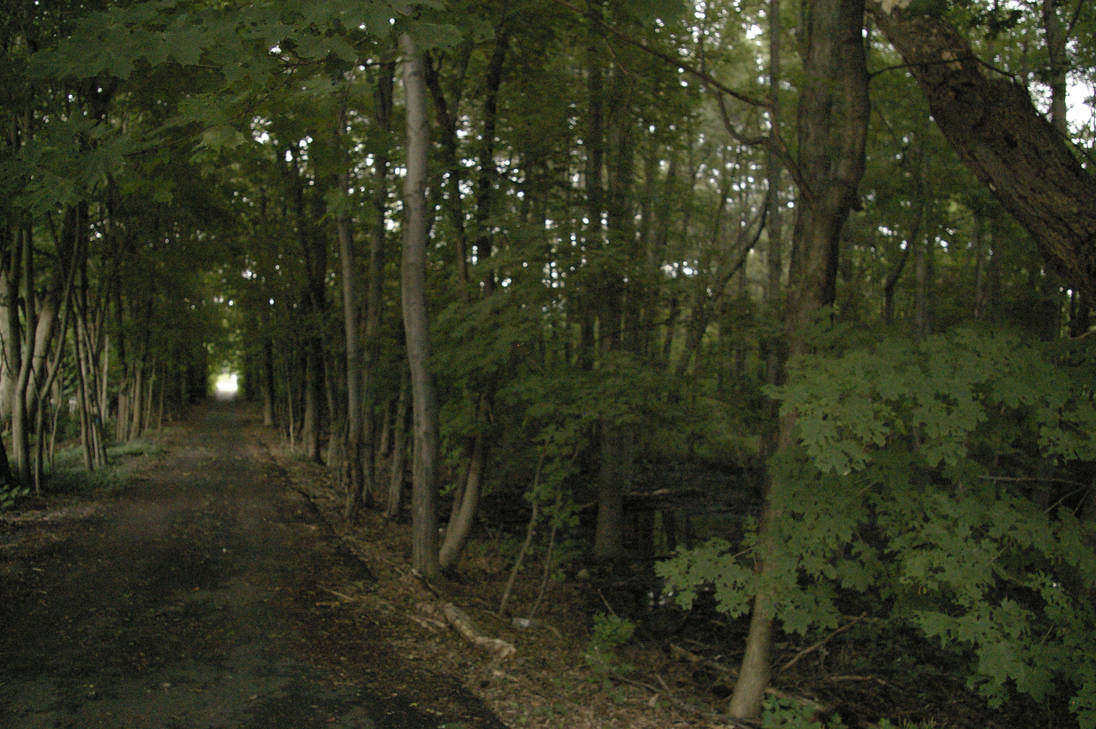 The Dim Path Way two by dimpathway on DeviantArt