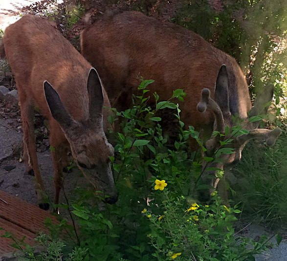 Outside My Window