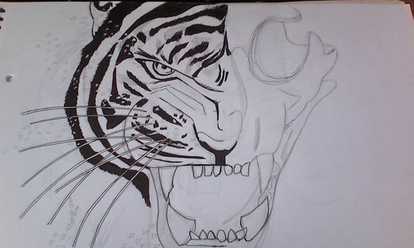 SKULL TIGER