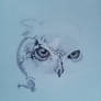 Graphite pencil owl
