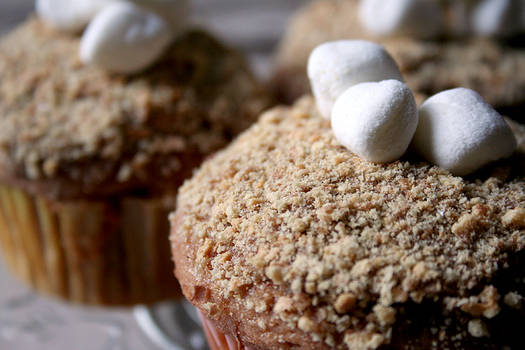 S'mores Cupcakes