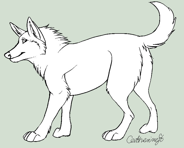 Basic Wolf Lineart Wolf free lineart II by CatherineSt on DeviantArt