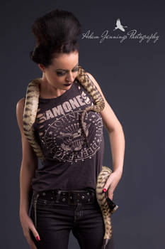 Ramones and Reptiles