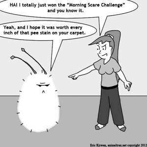 #107: Morning Scare Challenge