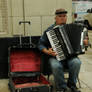 Accordion Player