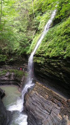 Watkin Glenn state park