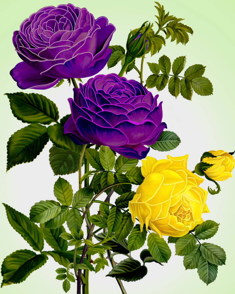 April Roses by artmovementspgh on DeviantArt