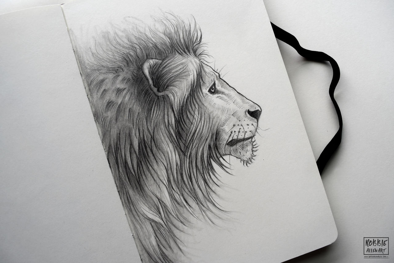 Lion Pencil Drawing by robbieallenart on DeviantArt