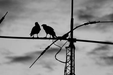 Evening games at the height by AlejandroCastillo