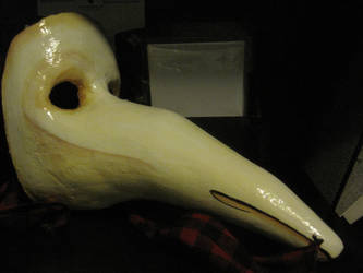 Plague Doctor Mask