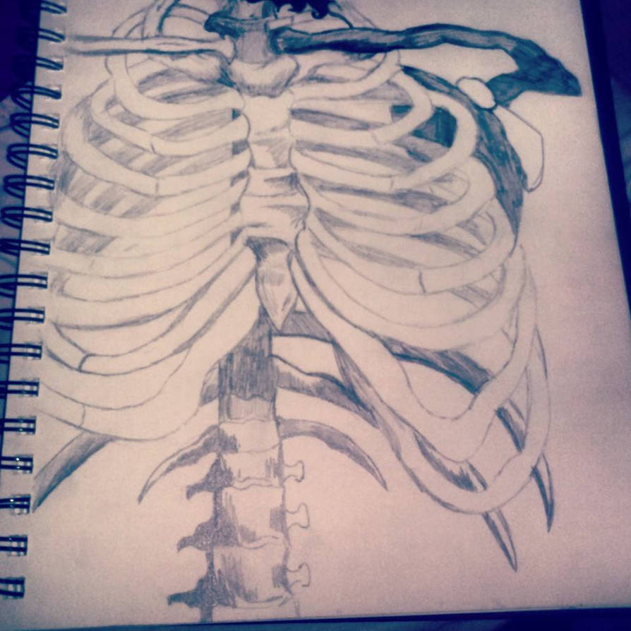 Out Getting Ribs Art Rib Cage by kimmycub7 on DeviantArt