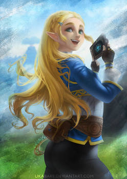 Zelda