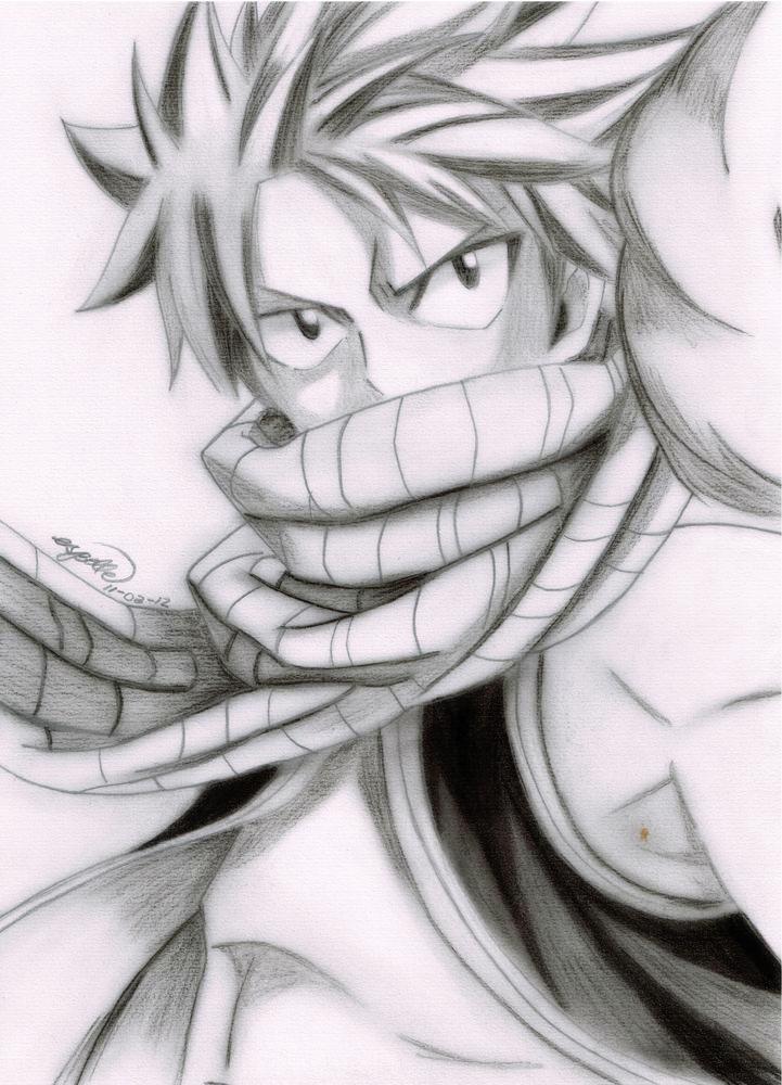 salamander natsu