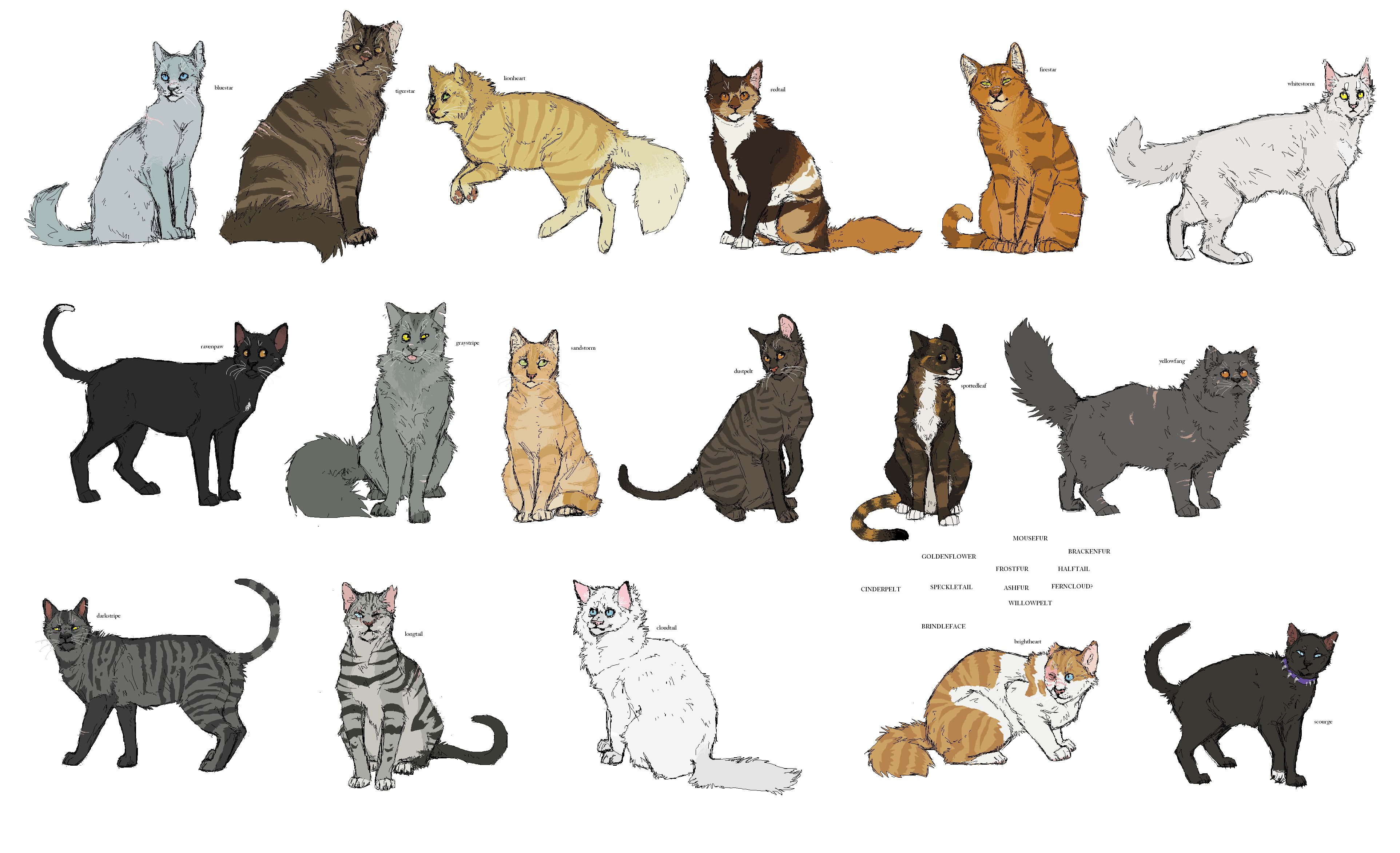 Thunderclan ASSEMBLEEEE