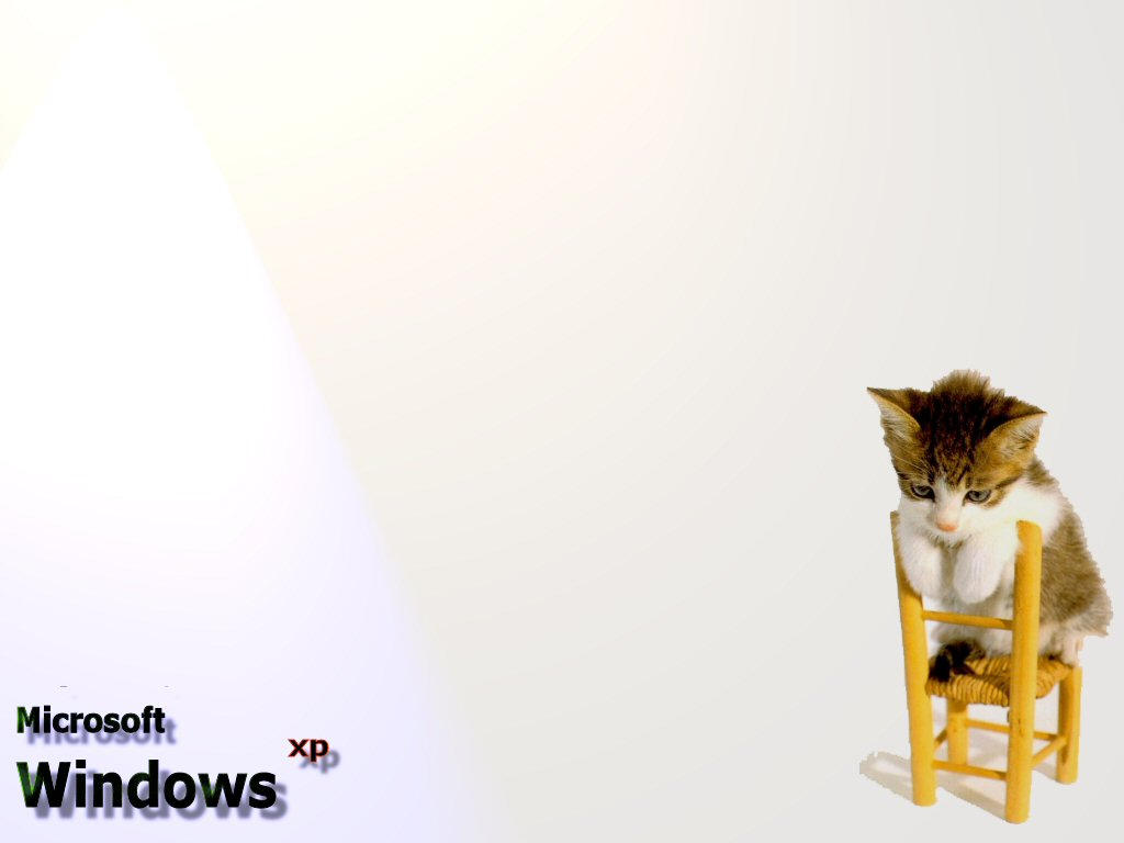 Cats XP by optionalsw on DeviantArt