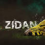 You Are The Next : ZIDAN