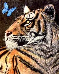 The Tigress