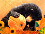 Bearly Autumn