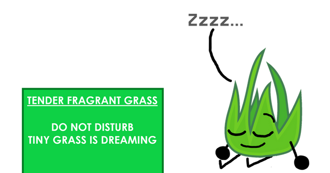 Shhh, Don't Wake Grassy!