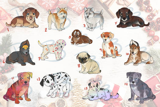 Puppies for Christmas! OPEN ADOPTS (11/14)