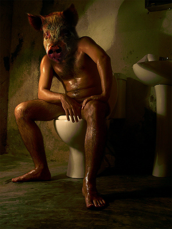 The pig