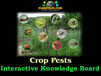 Crop Pests Online