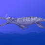 Kronosaurus