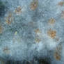 Tundra Fluff texture 1